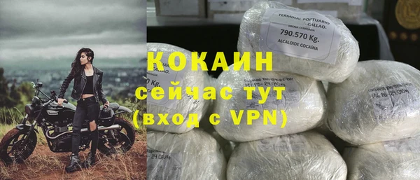 стаф Баксан