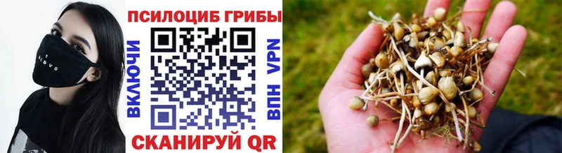 МЕГА как войти  Беслан  Псилоцибиновые грибы MAGIC MUSHROOMS 