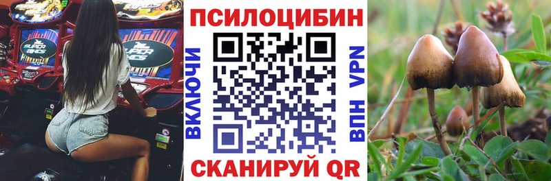 Псилоцибиновые грибы GOLDEN TEACHER Беслан