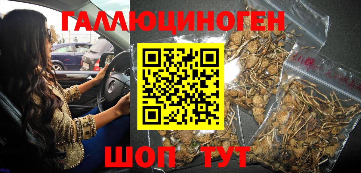Псилоцибиновые грибы Magic Shrooms  Вход с VPN  Беслан 